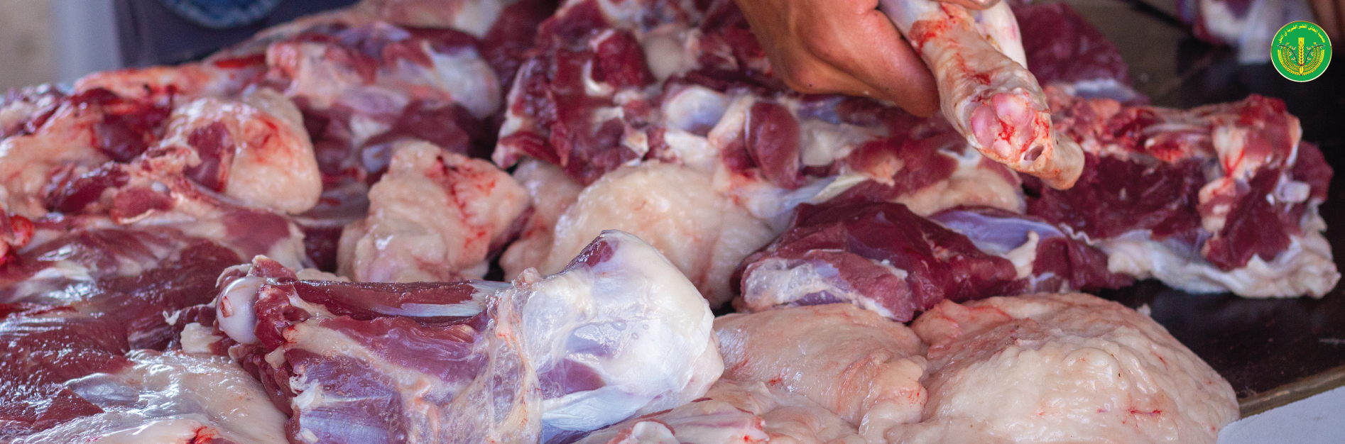 قسم الإدراج